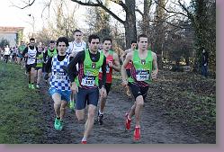 Begles 15.12.13 01 011 * 679 x 453 * (178KB)